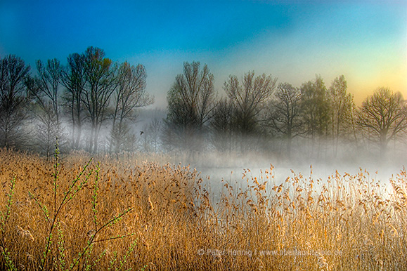 Foto von Peter Hennig PIXELWERKSTATT Nebel über dem Großen Grasteich bei Eichgraben 